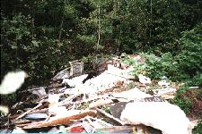 Garbage collected along the shore