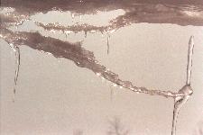 Ice fishing shanties on the frozen Bathurst Harbour