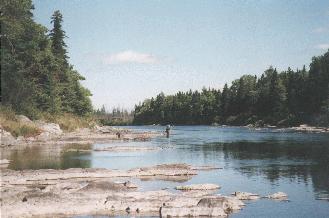 An angler fly fishing for salmon on the Nepisiguit River
