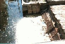 A drain outlet on a shoreline