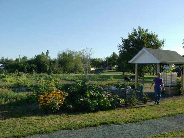 Flower beds and the garden kiosk with its rain water tank at the Victoria Park Community Garden