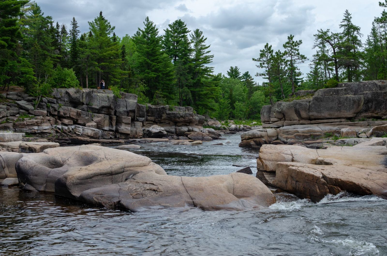Water rushing between the rock ledges of Pabineau Falls, with pine trees along both banks